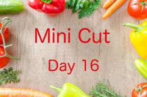 Mini Cut Day 16